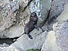 DSCN4114.JPG