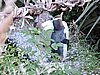 DSCN4121.JPG