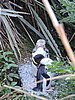 DSCN4126.JPG