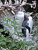 DSCN4131.JPG