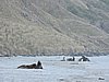 DSCN4132.JPG