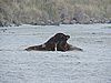 DSCN4133.JPG