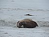 DSCN4134.JPG