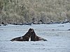 DSCN4135.JPG