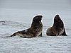 DSCN4137.JPG
