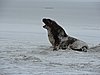 DSCN4138.JPG