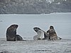DSCN4142.JPG