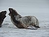 DSCN4143.JPG