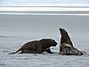 DSCN4144.JPG