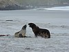 DSCN4146.JPG