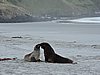 DSCN4147.JPG