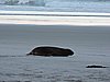 DSCN4148.JPG
