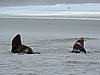 DSCN4149.JPG