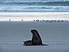 DSCN4151.JPG