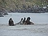 DSCN4153.JPG