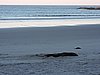 DSCN4154.JPG