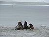 DSCN4157.JPG