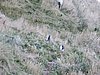 DSCN4158.JPG
