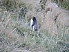 DSCN4159.JPG