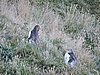 DSCN4160.JPG
