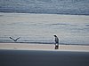 DSCN4162.JPG