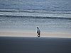 DSCN4164.JPG