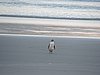 DSCN4170.JPG