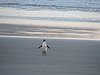 DSCN4171.JPG
