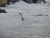 DSCN4187.JPG