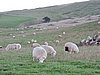 DSCN4191.JPG