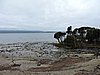 DSCN4278.JPG