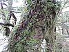 DSCN4302.JPG