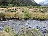 DSCN4305.JPG