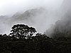 DSCN4307.JPG