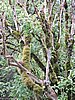 DSCN4310.JPG
