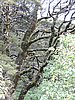 DSCN4311.JPG