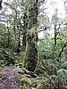 DSCN4318.JPG