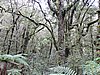DSCN4319.JPG