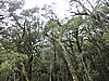 DSCN4321.JPG