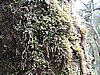 DSCN4322.JPG