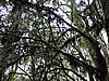 DSCN4323.JPG