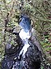 DSCN4324.JPG