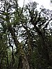 DSCN4326.JPG