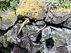 DSCN4328.JPG