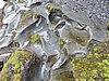 DSCN4331.JPG