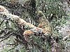 DSCN4332.JPG