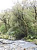 DSCN4336.JPG