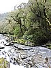 DSCN4337.JPG