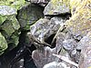 DSCN4338.JPG