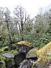 DSCN4339.JPG